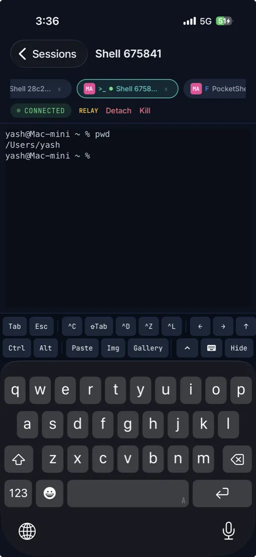 A real terminal, multiple sessions